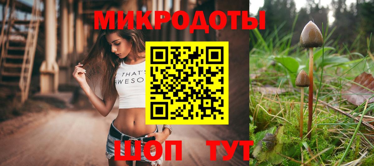 Артём  Псилоцибиновые грибы Magic Shrooms  Вход с VPN 